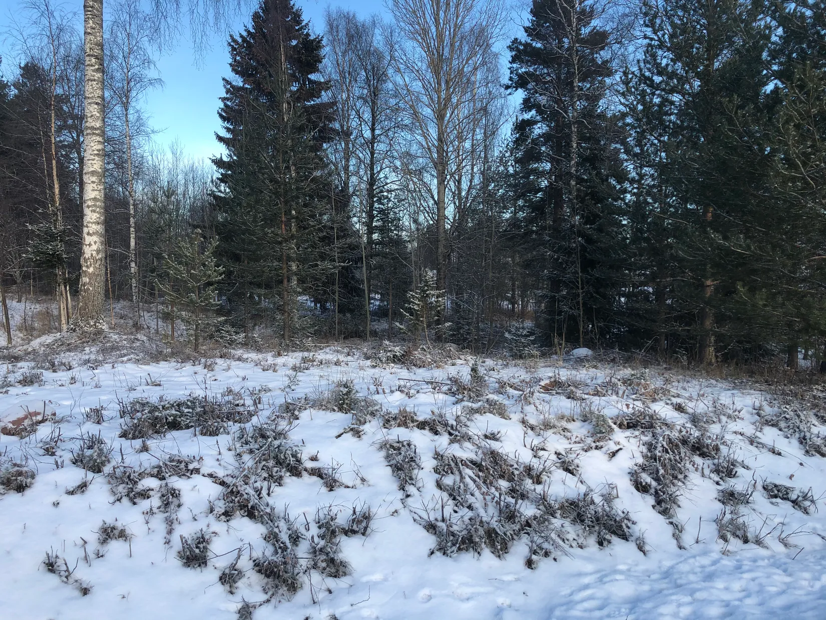 Tomt, Linkittringen 17, Våmhus, Mora