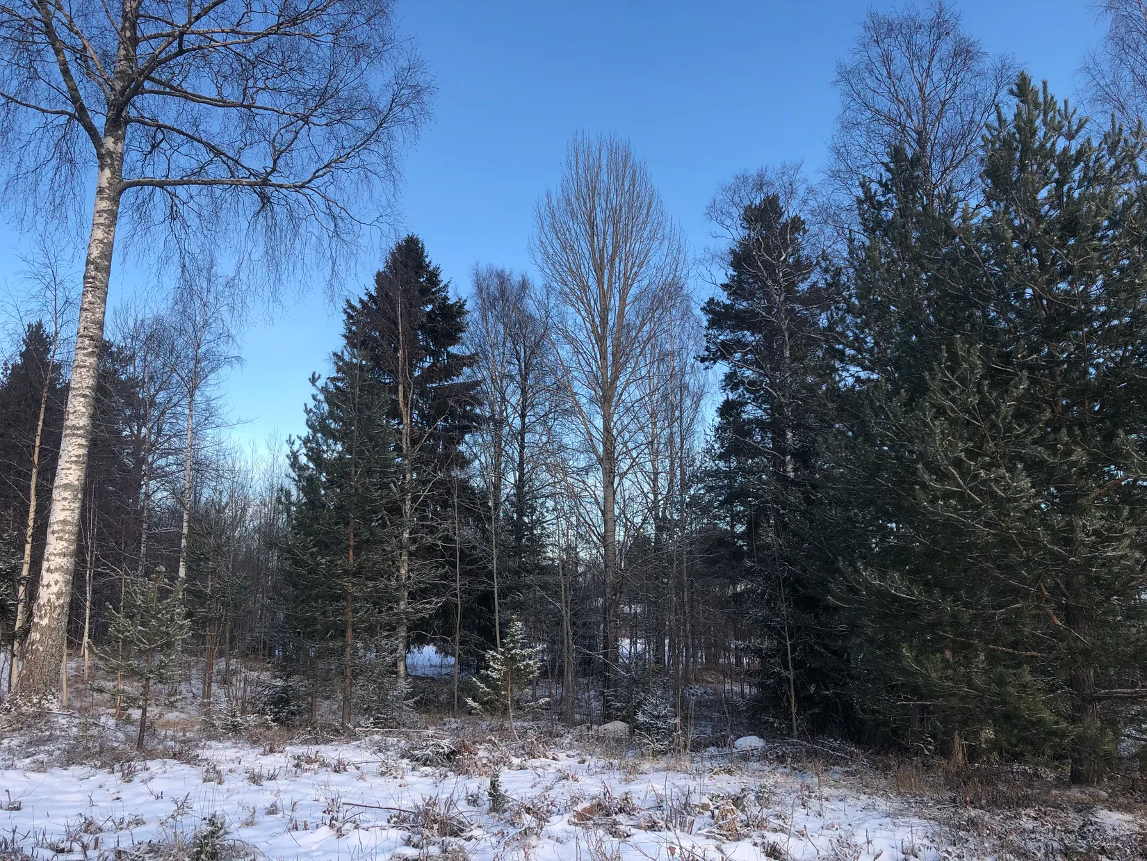 Tomt, Linkittringen 17, Våmhus, Mora
