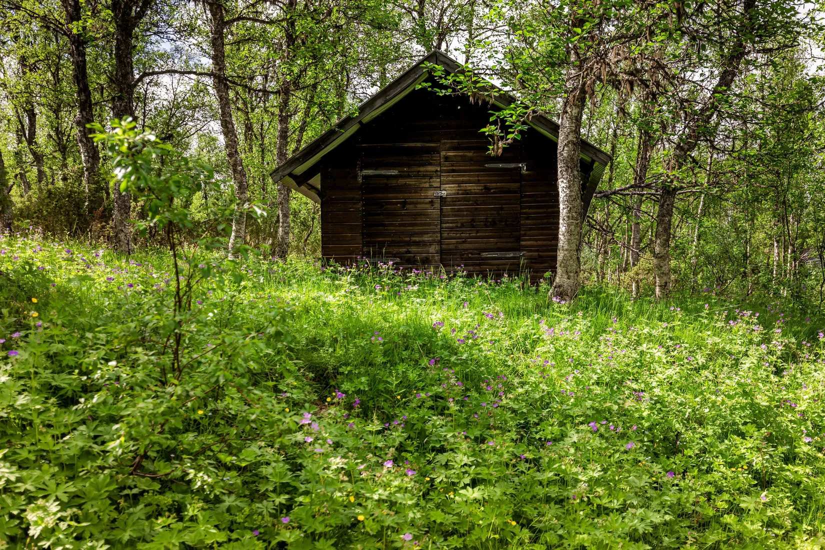 Fritidshus, Rockvallen 88, Härjedalen