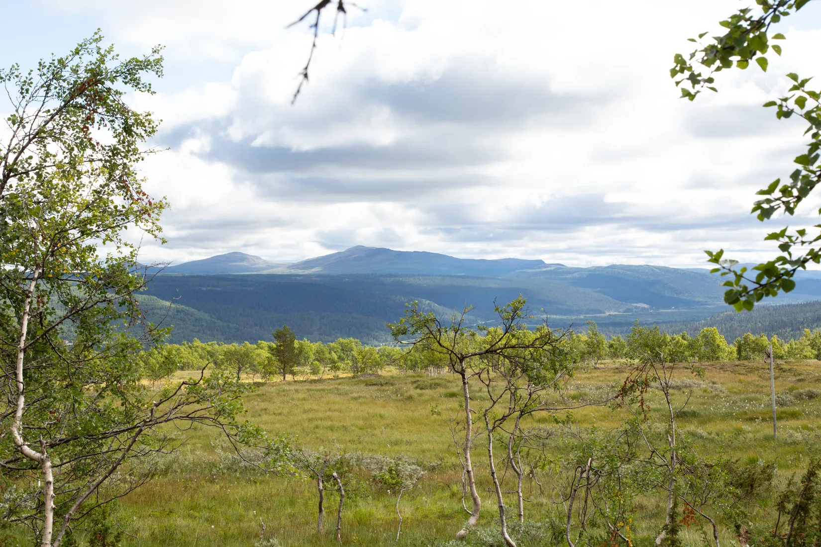 Fritidshus, Rockvallen 88, Härjedalen