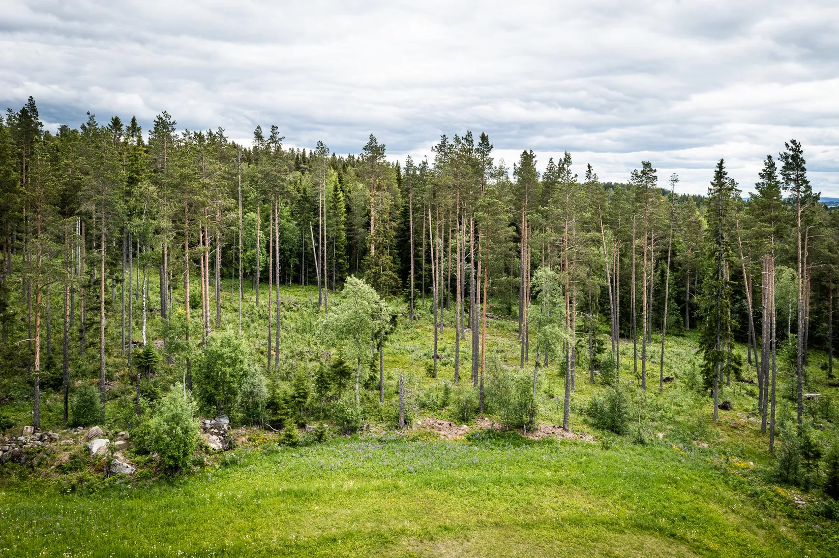 Tomt, Grytan 715, Grytan, Östersund