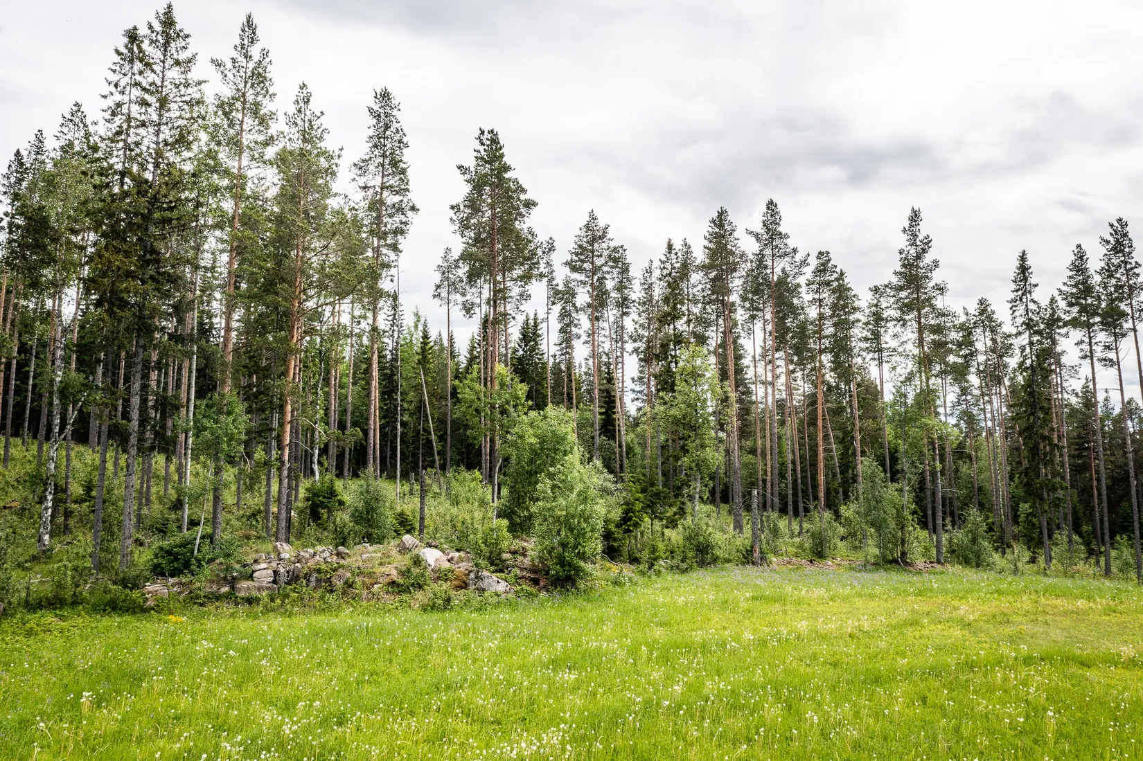 Tomt, Grytan 715, Grytan, Östersund