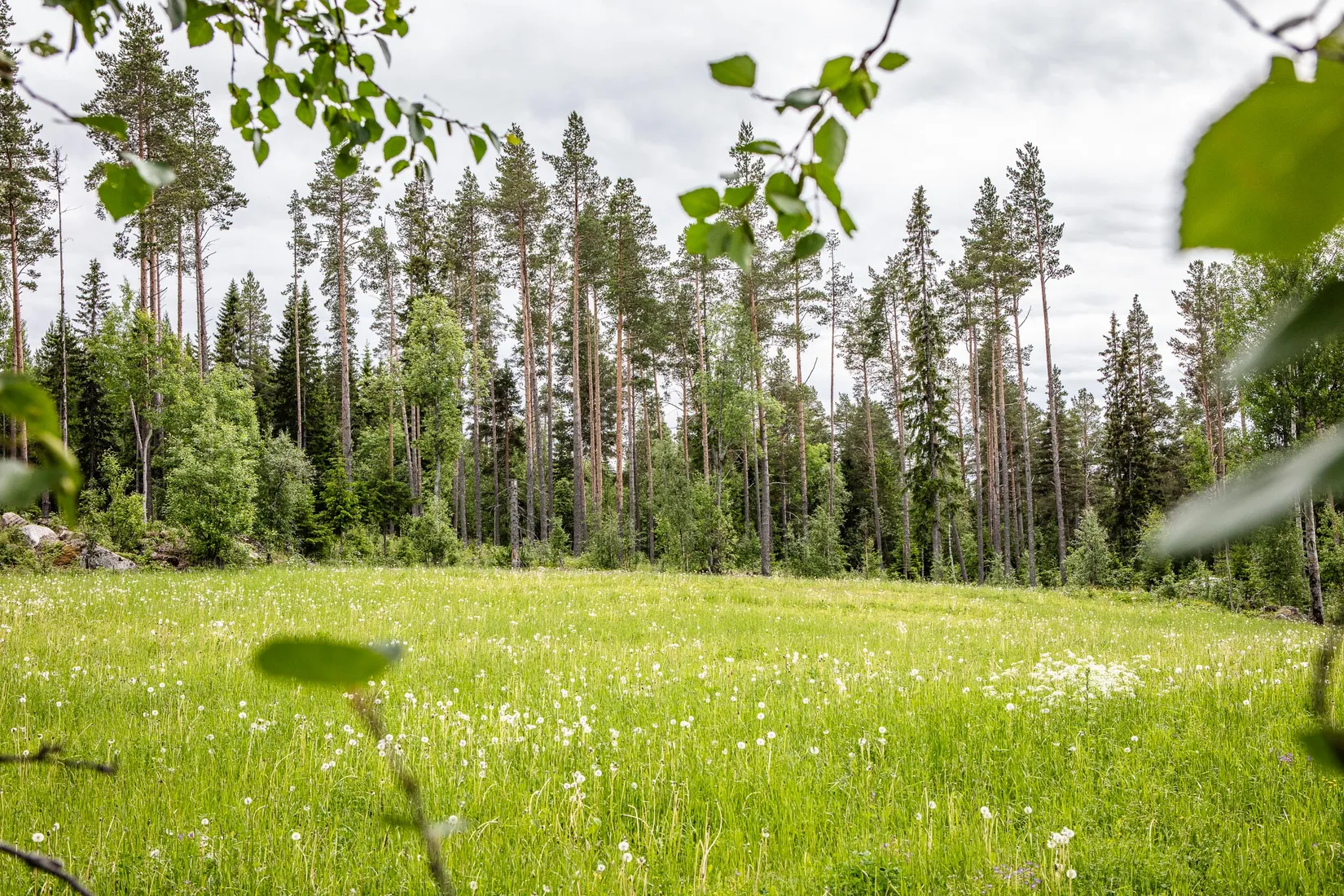 Tomt, Grytan 715, Grytan, Östersund