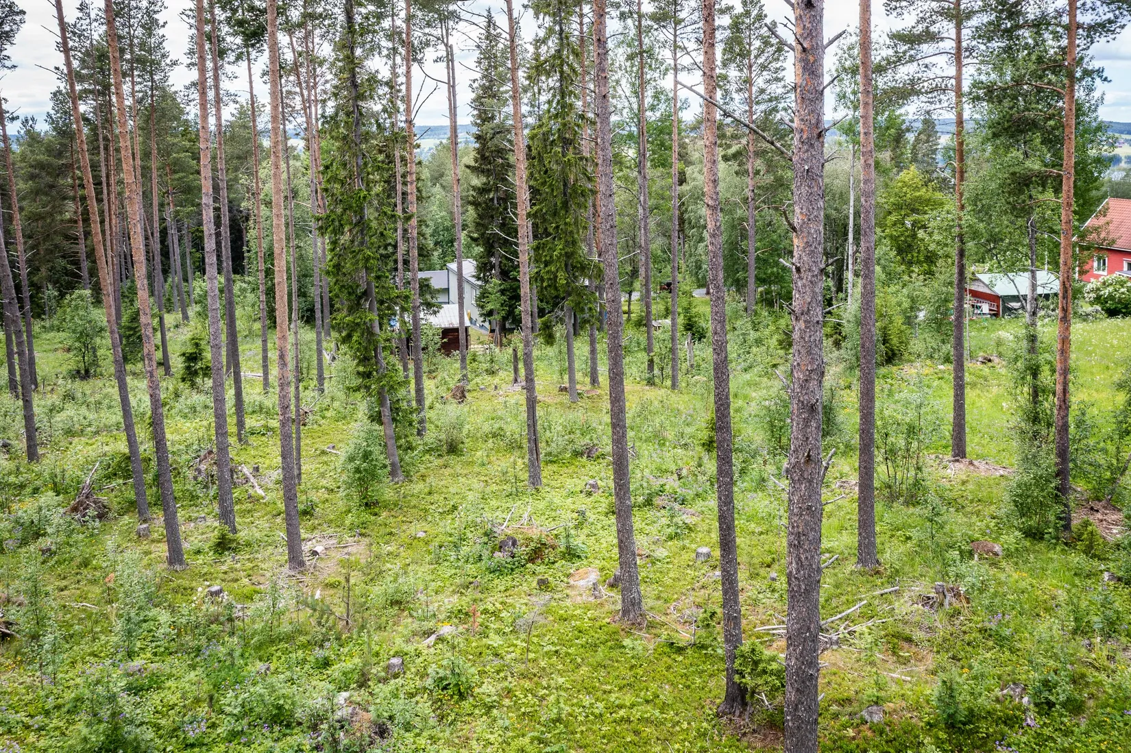 Tomt, Grytan 715, Grytan, Östersund