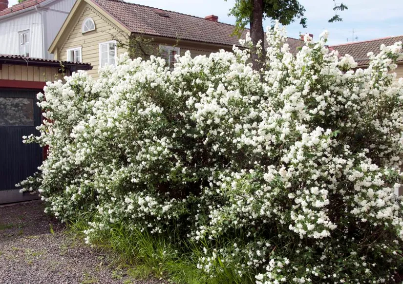 Villa, Stora Bergsgatan 20, Centralt , Askersund