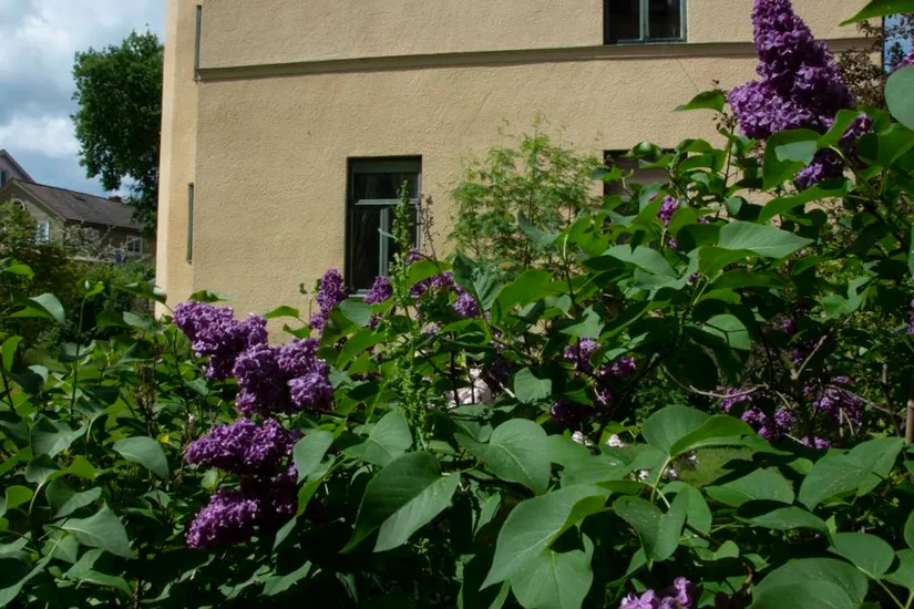 Villa, Stora Bergsgatan 20, Centralt , Askersund