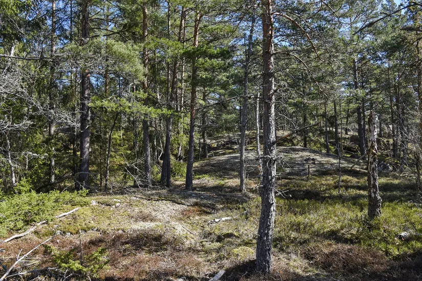 Fritidshus, Torsbyvägen 16, Värmdö - Torsby, Värmdö
