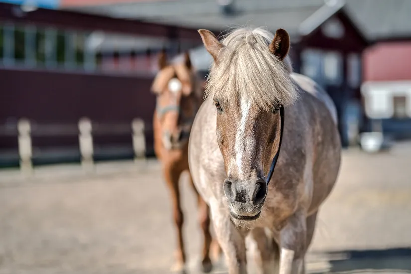 Radhus, Svarvstensvägen 34, Hisings Kärra, Göteborg