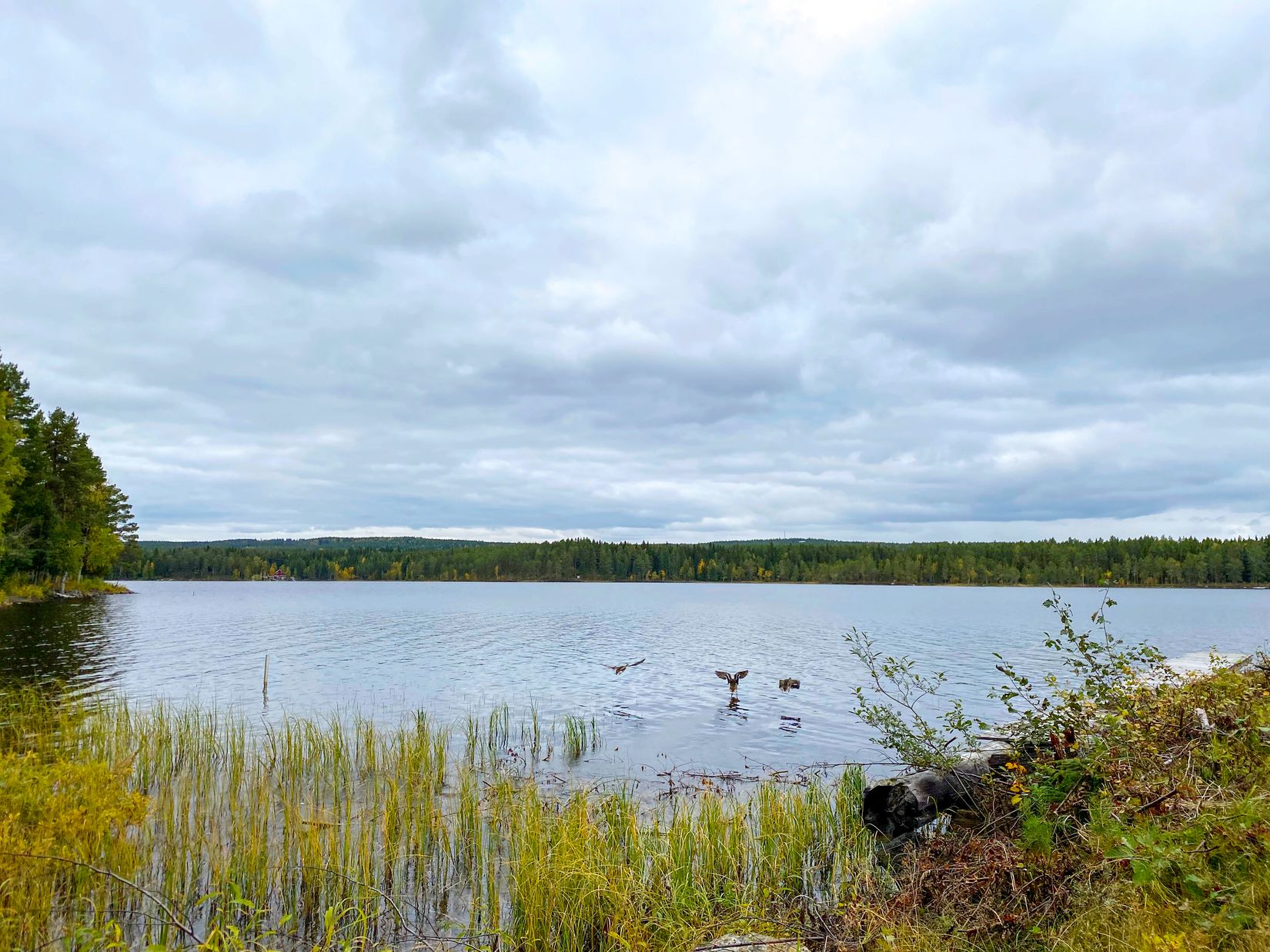 Villa, Umevägen 23, Åsele