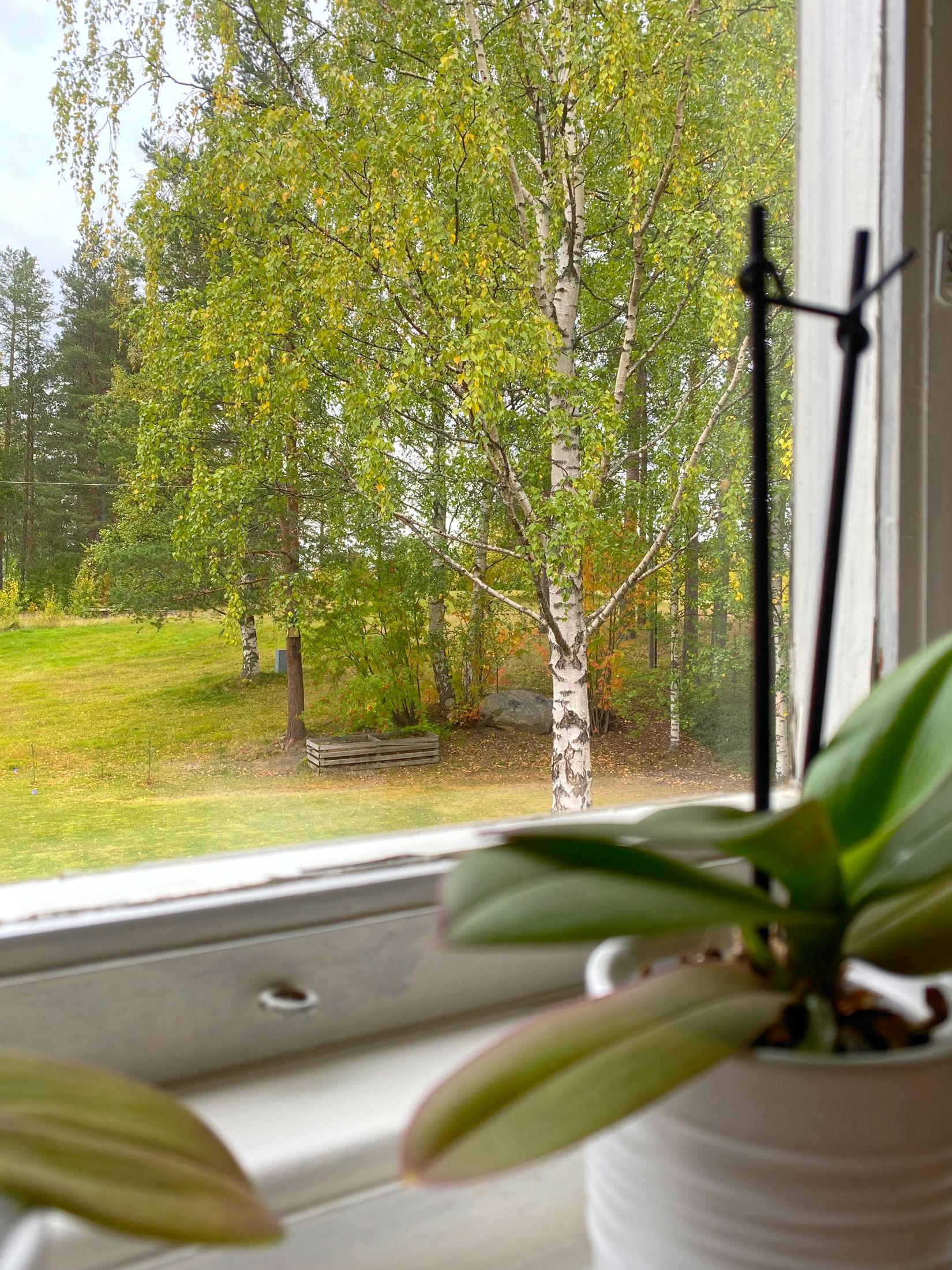 Villa, Umevägen 23, Åsele