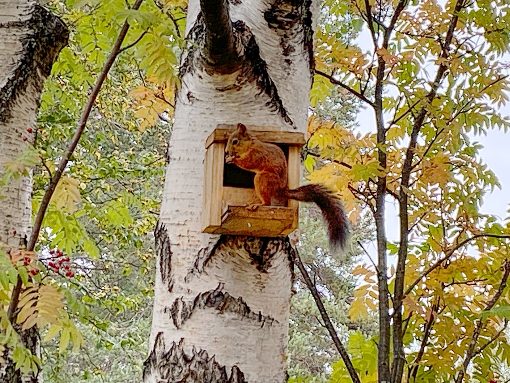 Villa, Umevägen 23, Åsele