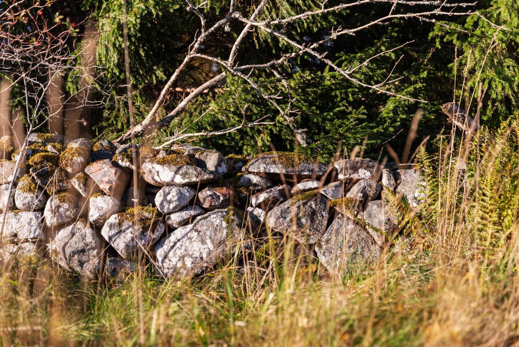Tomt, Rådmansövägen 483C, Rävsnäs, Norrtälje