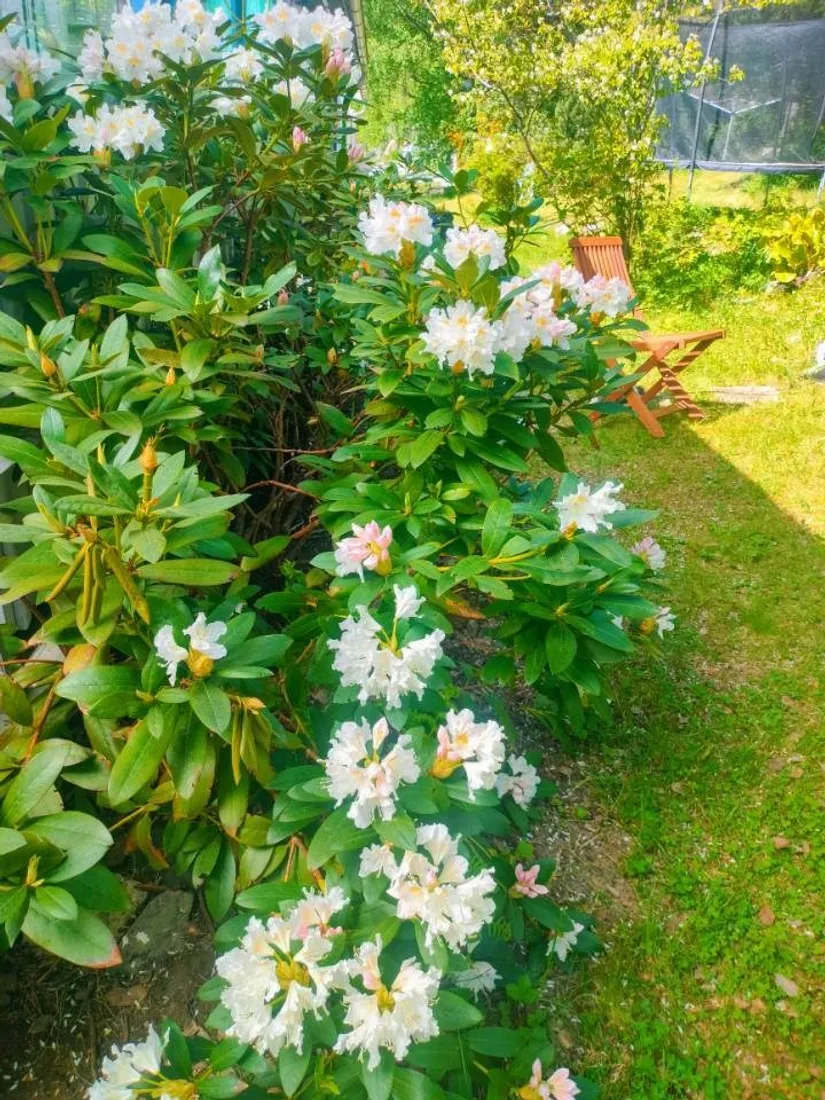 Radhus, Blåbärsstigen 29, Medväga, Borlänge