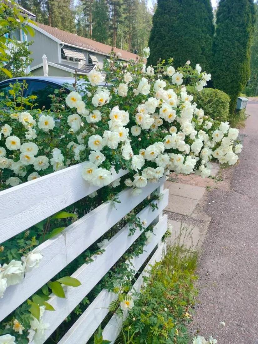 Radhus, Blåbärsstigen 29, Medväga, Borlänge