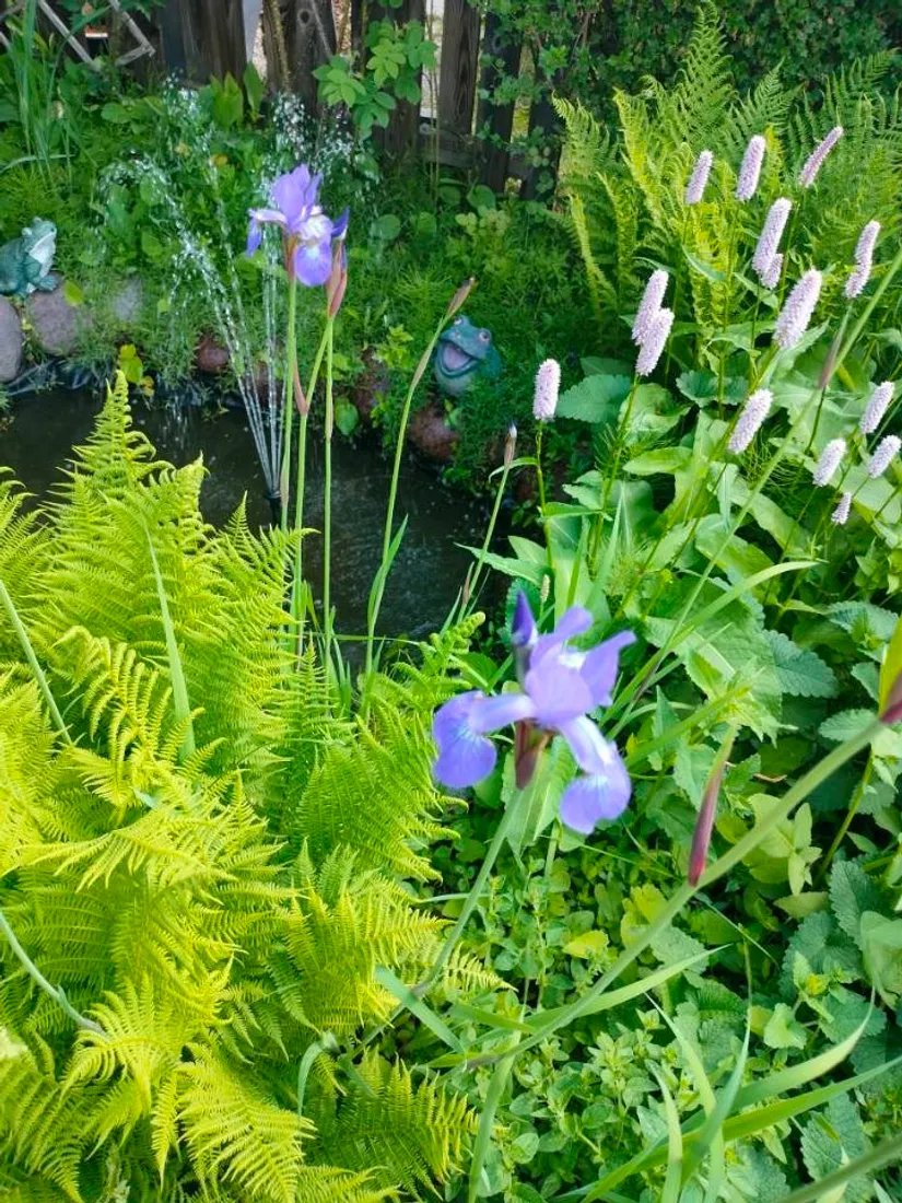 Radhus, Blåbärsstigen 29, Medväga, Borlänge