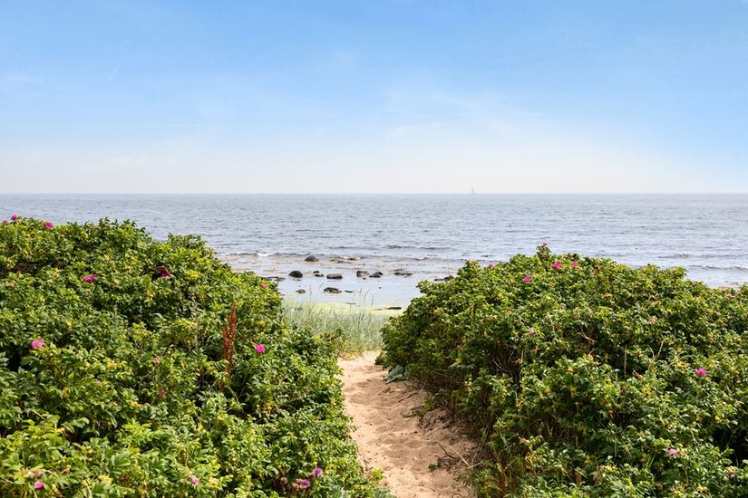 Tomt, Algstigen 17, Brantevik, Simrishamn