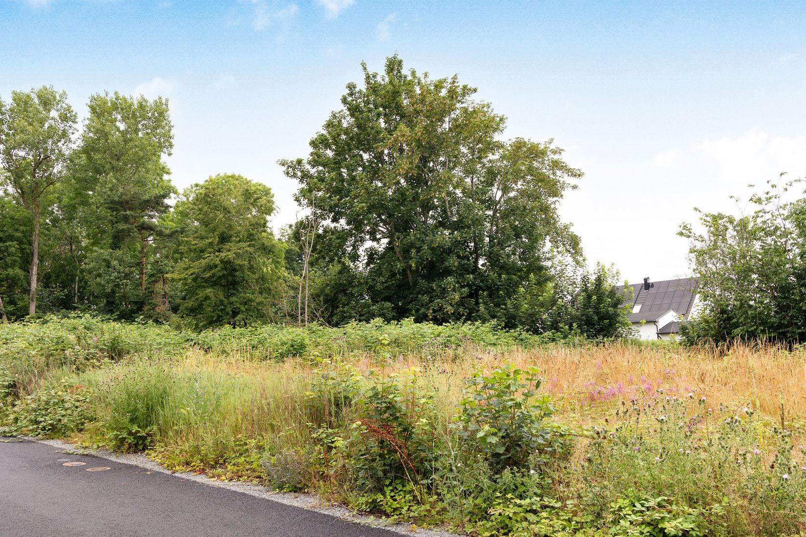 Tomt, Algstigen 17, Brantevik, Simrishamn