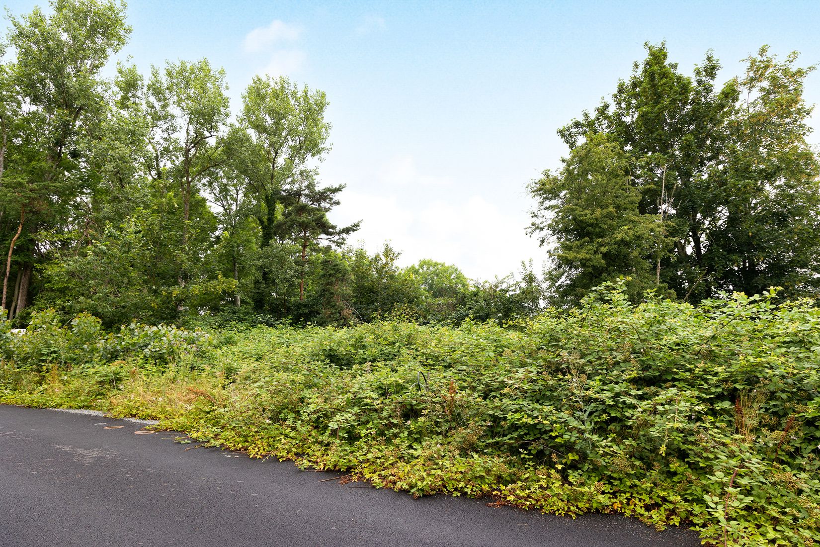 Tomt, Algstigen 16, Brantevik, Simrishamn