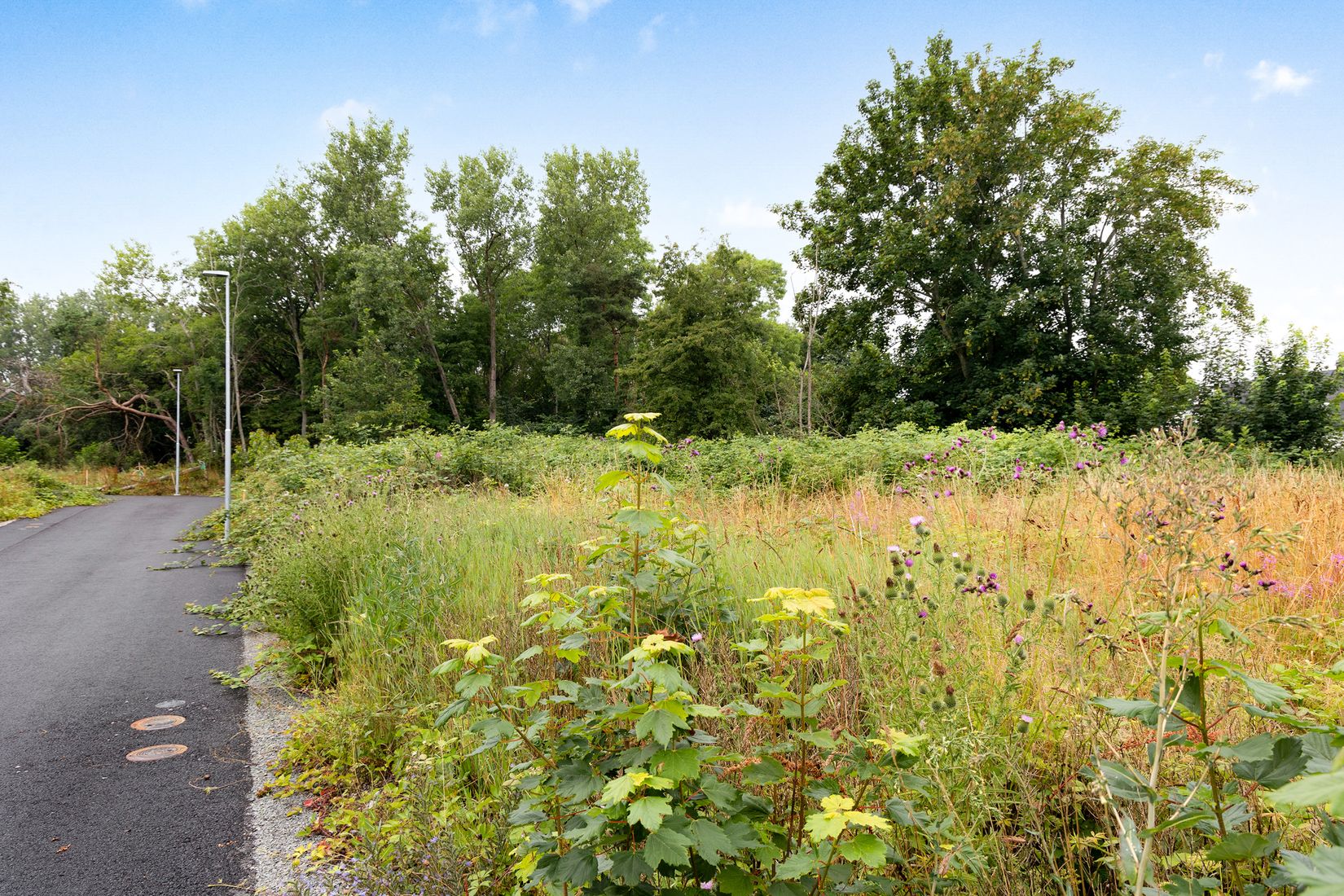 Tomt, Algstigen 16, Brantevik, Simrishamn