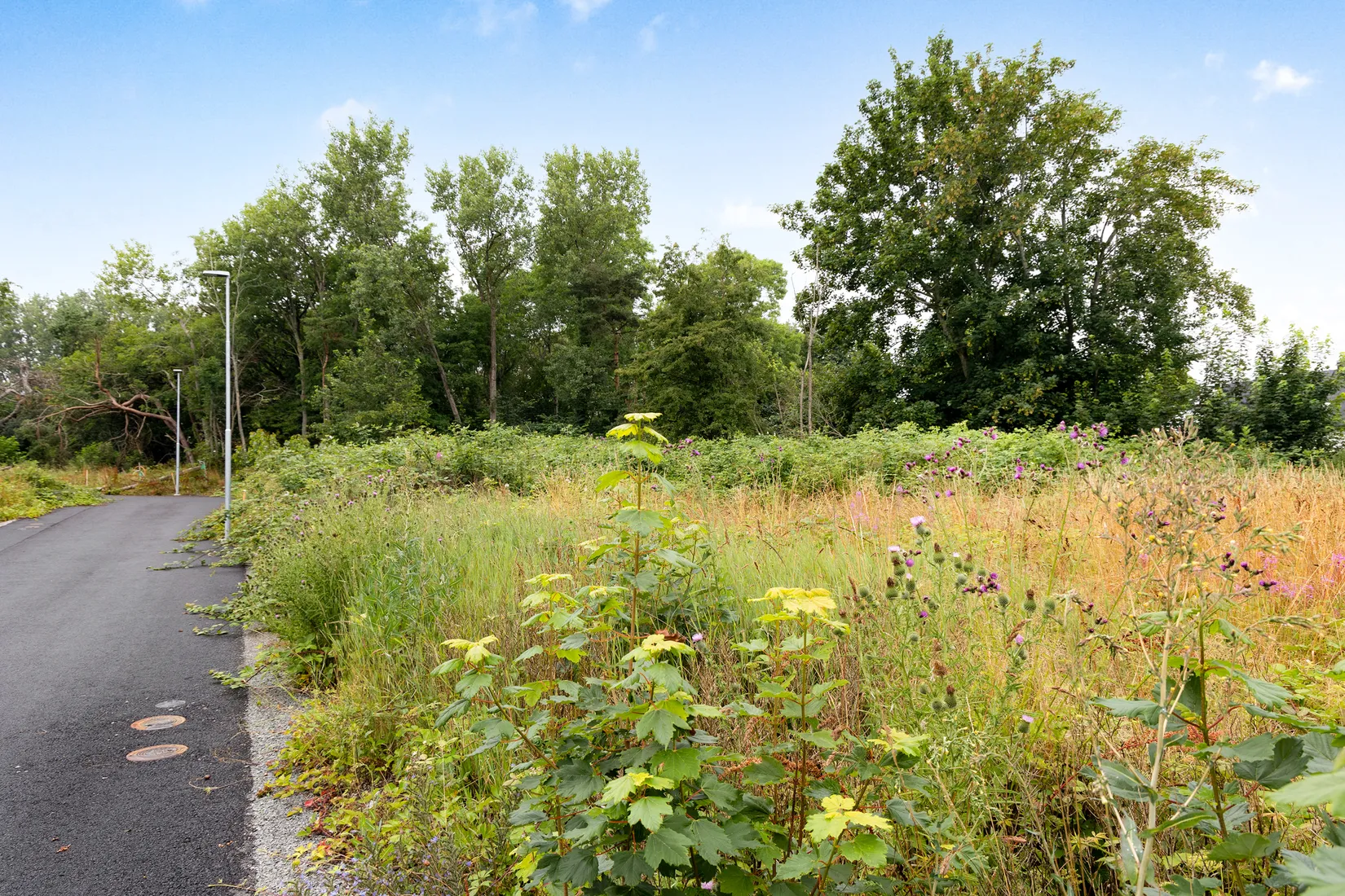 Tomt, Algstigen 10, Brantevik, Simrishamn