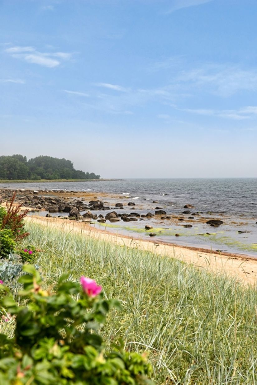 Tomt, Algstigen 16, Brantevik, Simrishamn