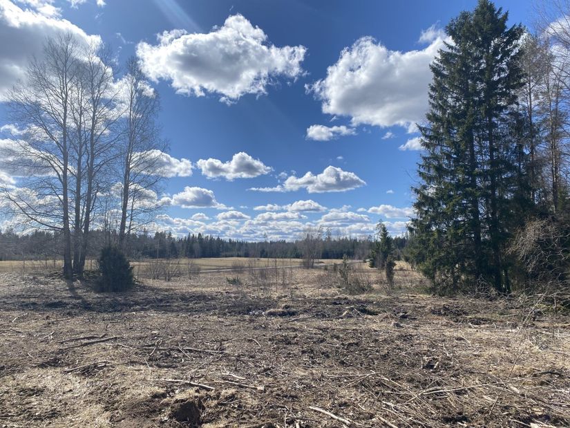 Tomt, Krängshult, Krängshult, Vaggeryd