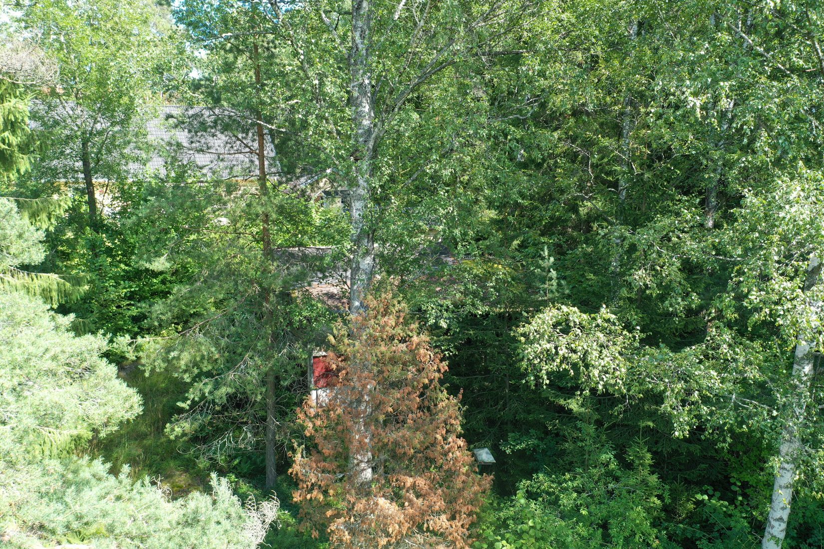 Tomt, Stockrosvägen 18, Tullinge, Botkyrka