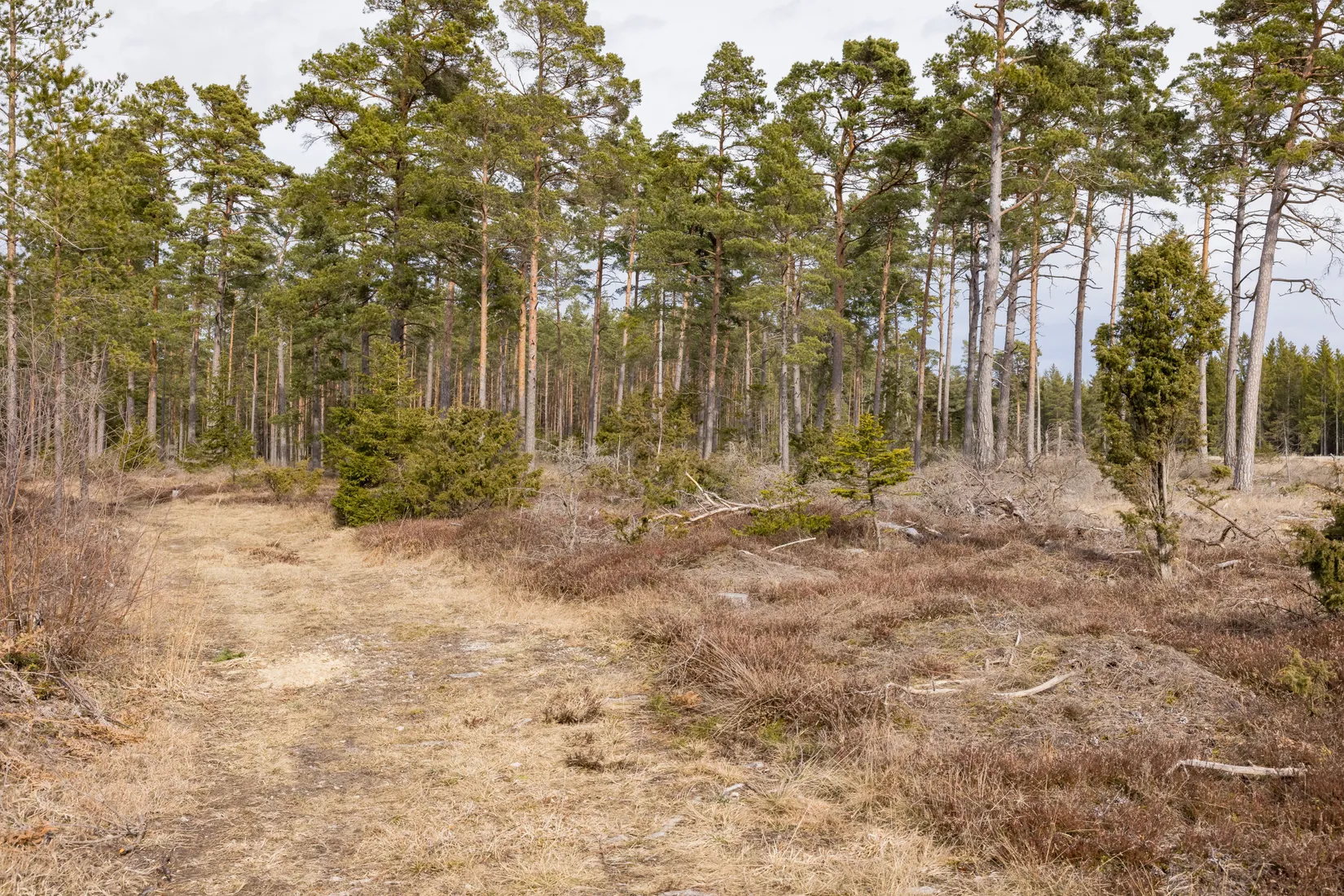 Tomt, Gothem Hinser 190D, Gothem, Gotland