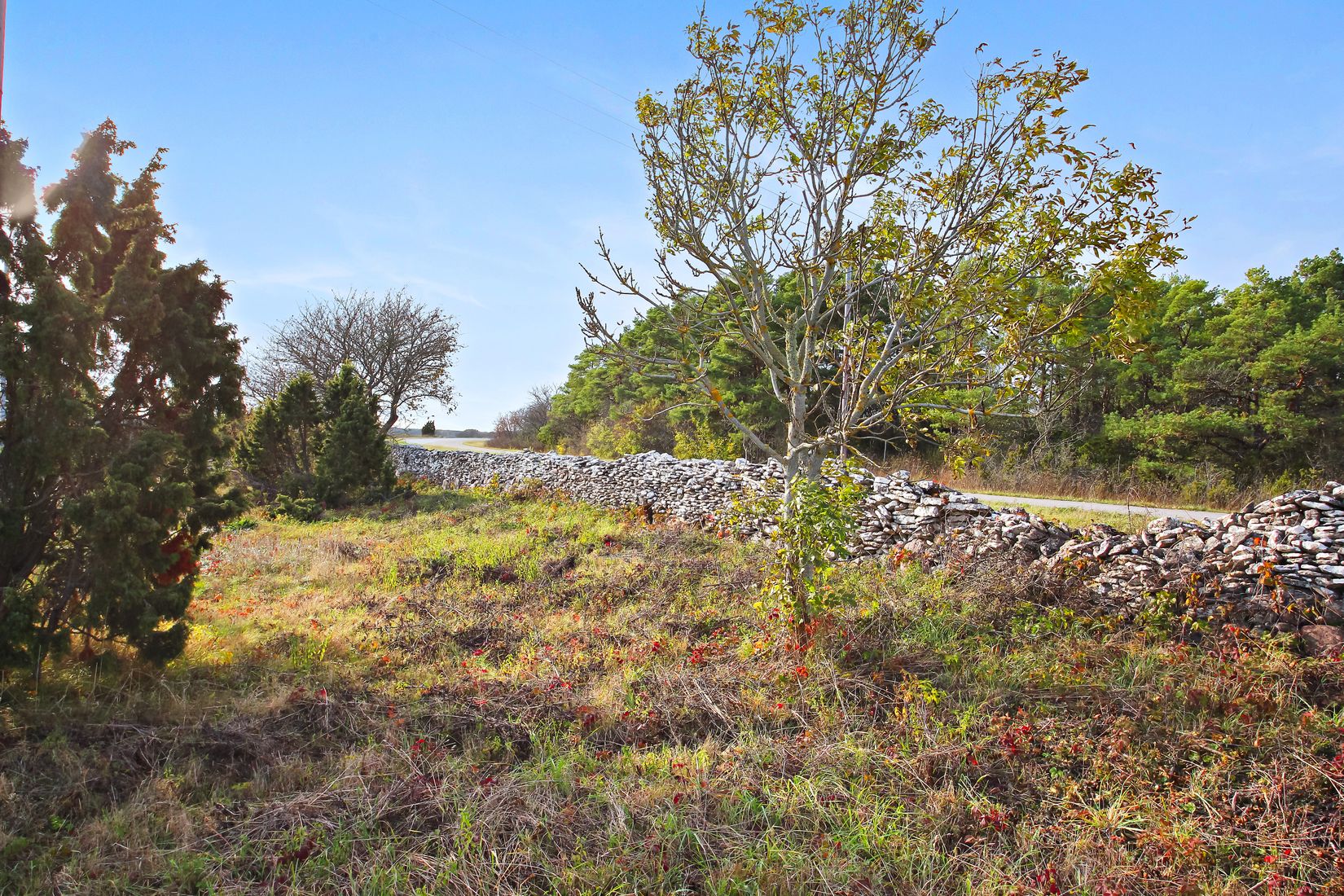 Tomt, Östergarn Rodarve 156 C, Östergarn - Östra Gotland, Gotland