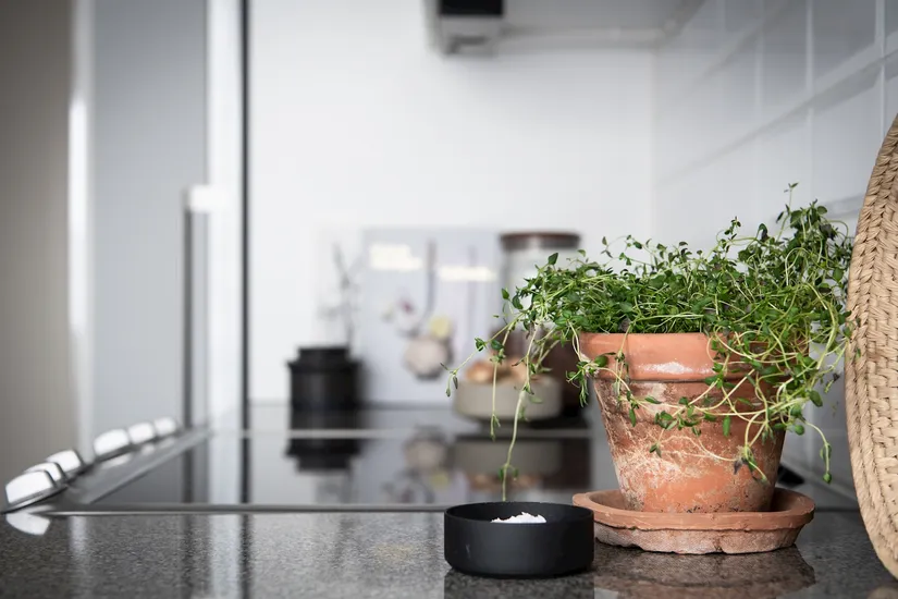 Bostadsrätt, Intagsgatan 6A, Kålltorp, Göteborg