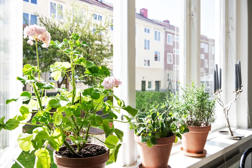 Bostadsrätt, Intagsgatan 6A, Kålltorp, Göteborg