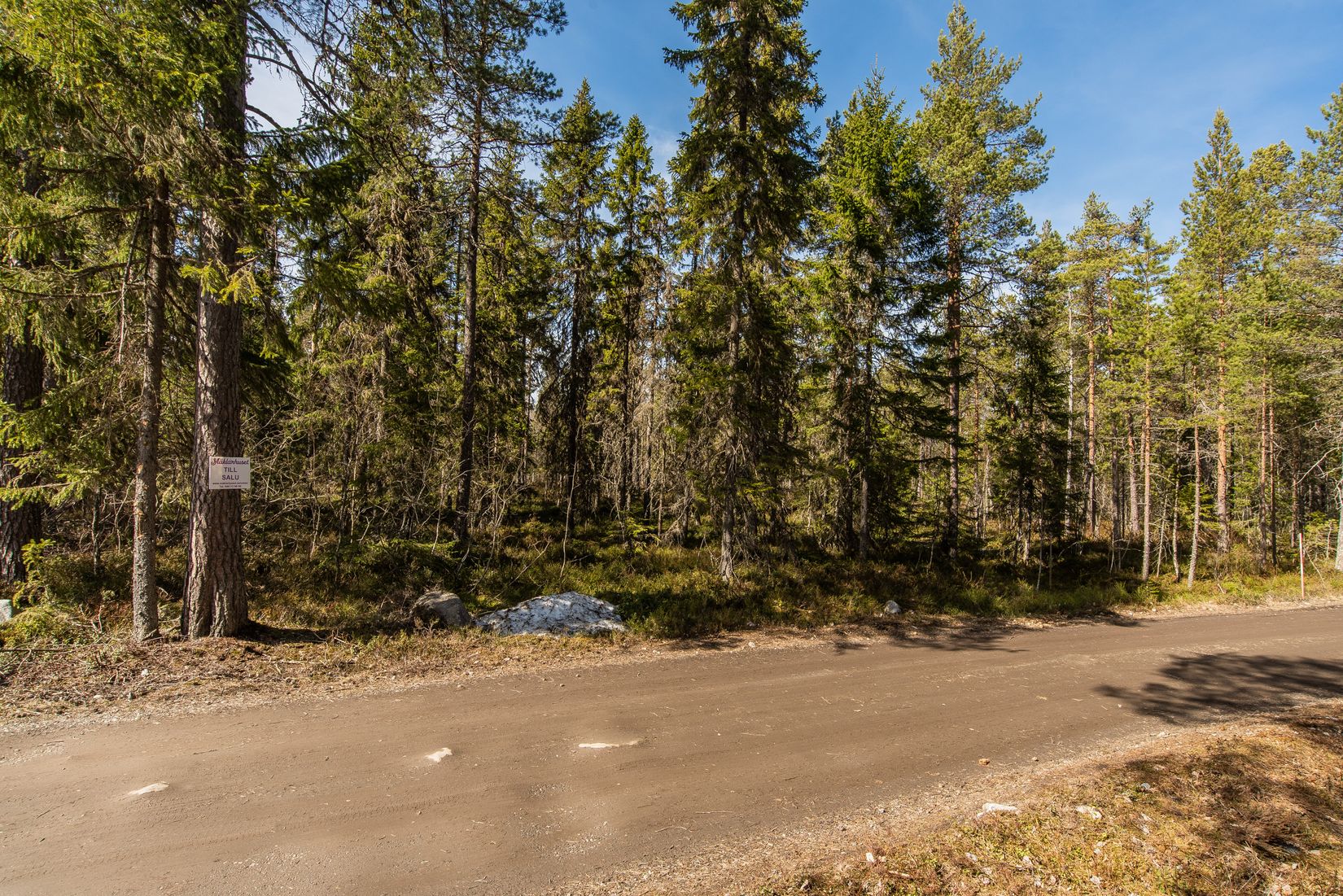 Tomt, Holmsjön 241, Holmsjön, Umeå