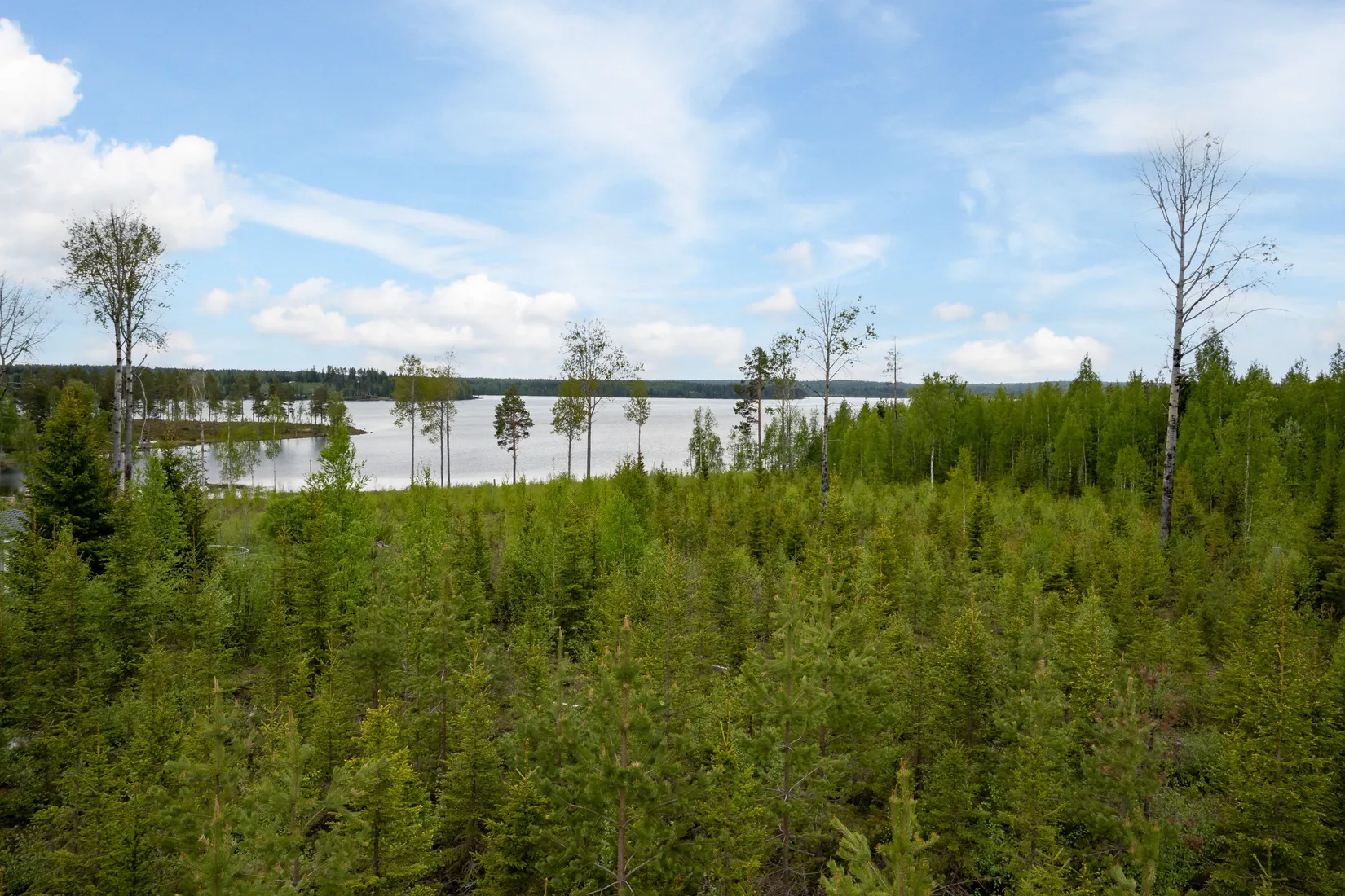 Tomt, Norra Bergfors 198, Varuträsk, Skellefteå