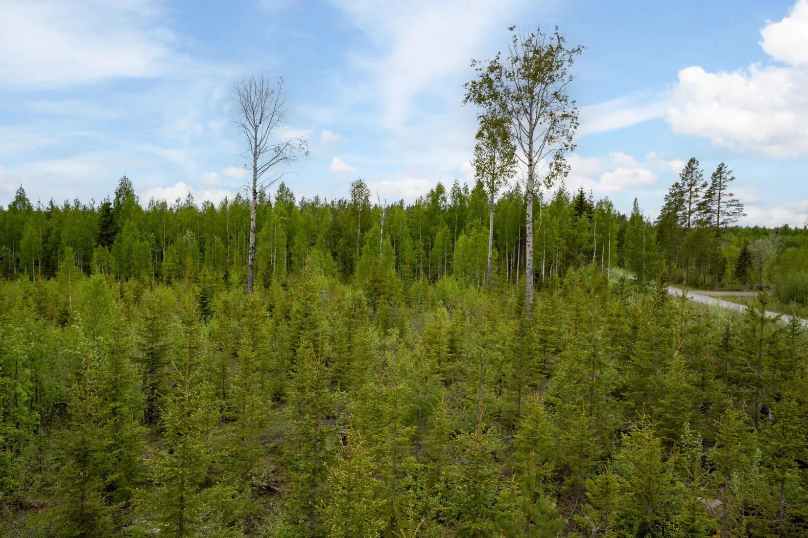 Tomt, Norra Bergfors 198, Varuträsk, Skellefteå