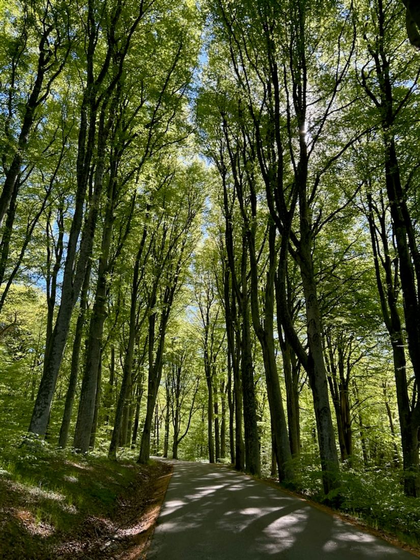 Villa, Radhus, Färlevfjordsvägen 18, Torreby, Munkedal