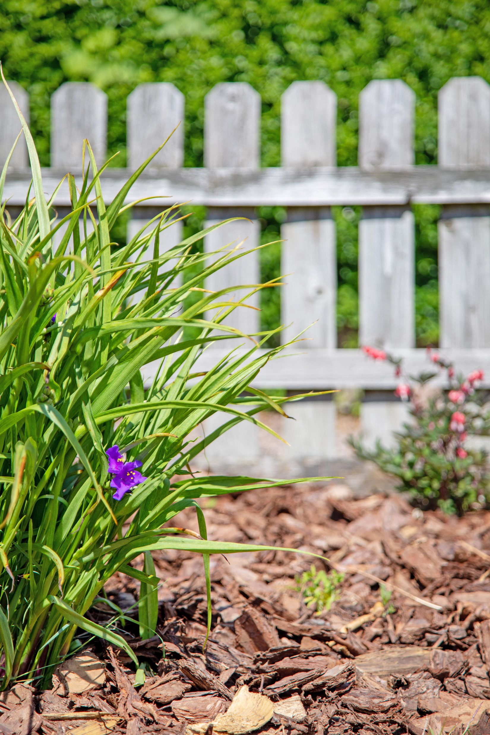 Villa, Furuvägen 21A, Centrum / Främre Furet, Halmstad