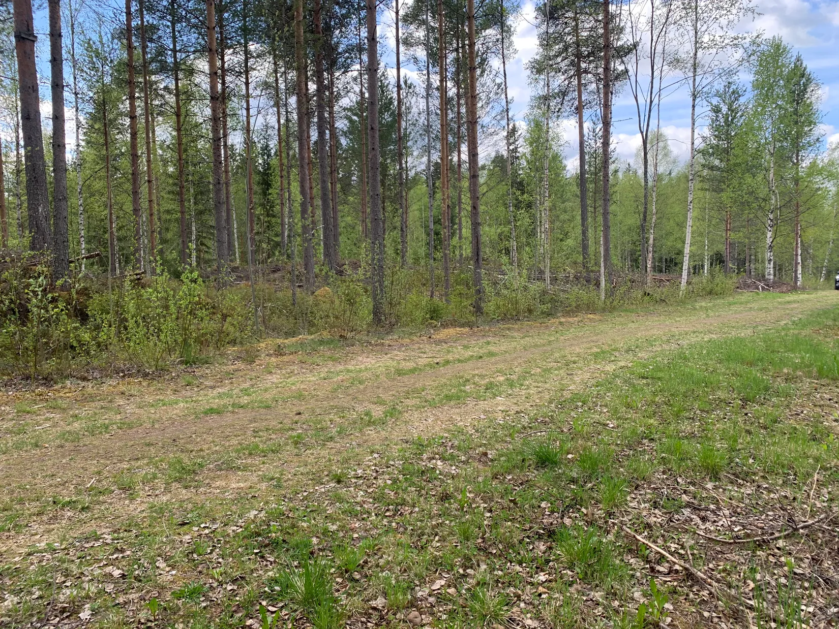 Tomt, Trotvägen 19, Östermyckeläng, Älvdalen