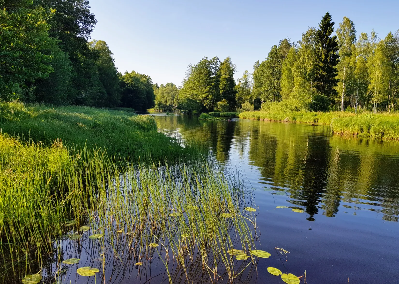 Fritidshus, Nedre Sälängsvägen 9, Södra Åbyggeby, Gävle