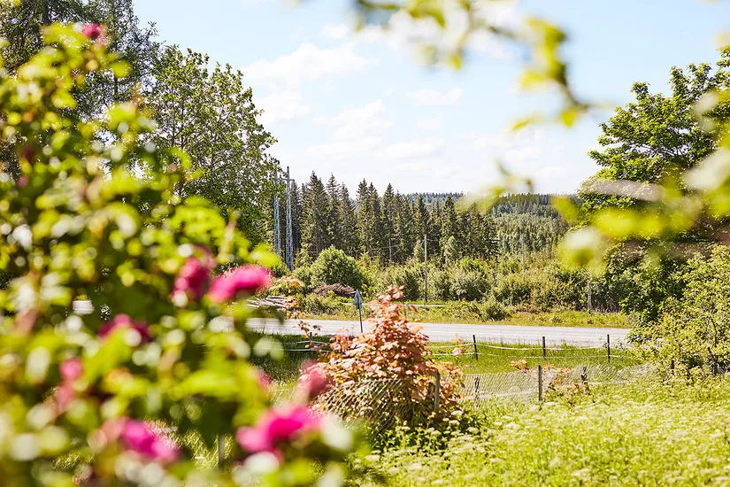 Villa, Södra Målen 1, Nässjö