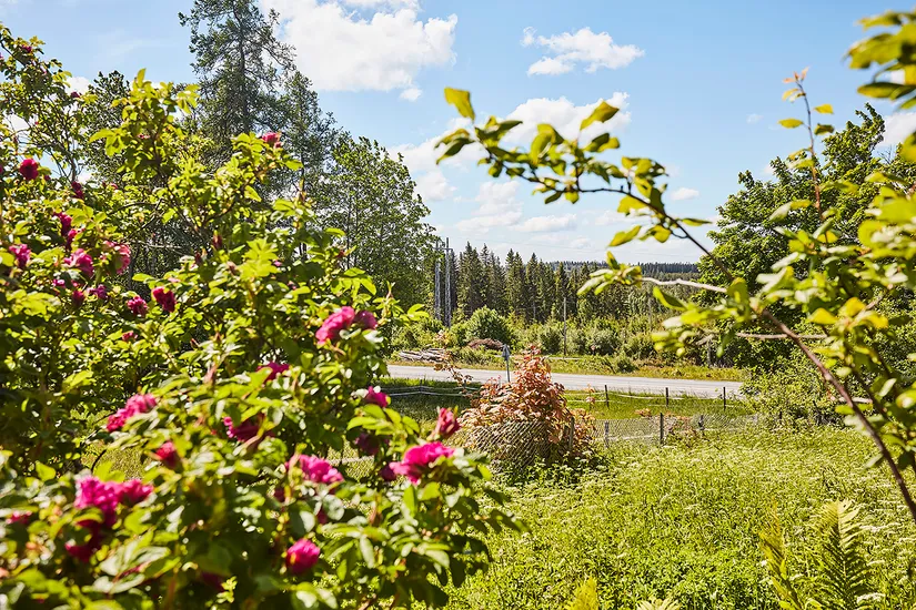 Villa, Södra Målen 1, Nässjö