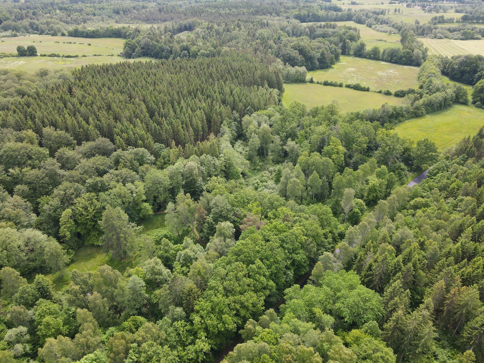 Gård/Skog, ÖRKELLJUNGA ÅRRÖD 1:6, Klippan