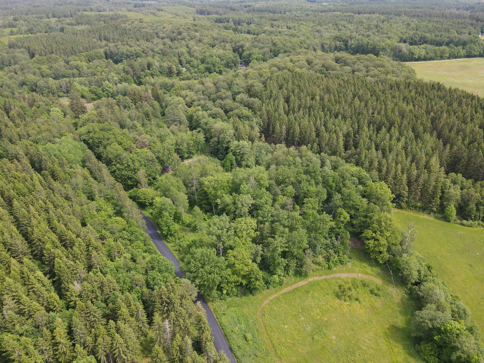 Gård/Skog, ÖRKELLJUNGA ÅRRÖD 1:6, Klippan