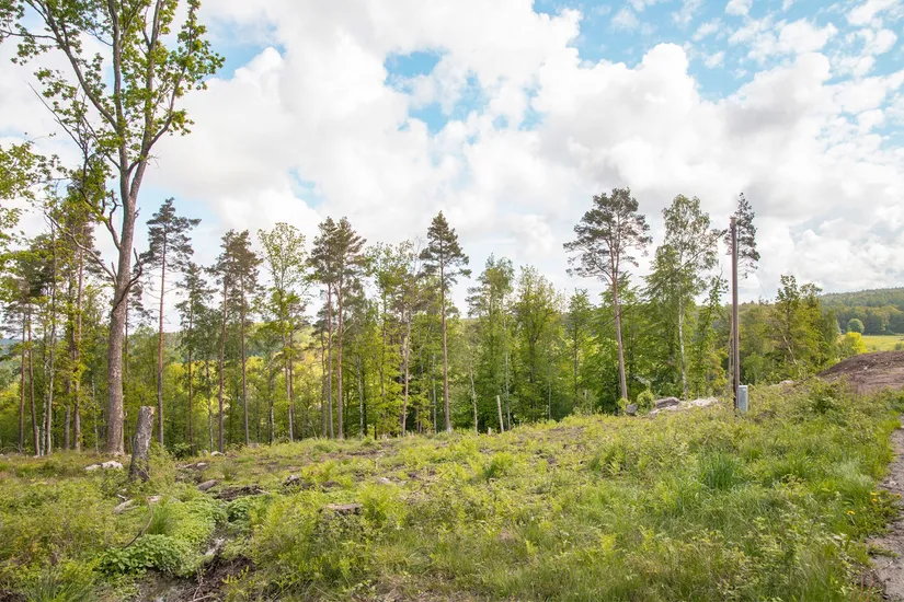 Tomt, Albert Ribbas väg 7C, Lerum
