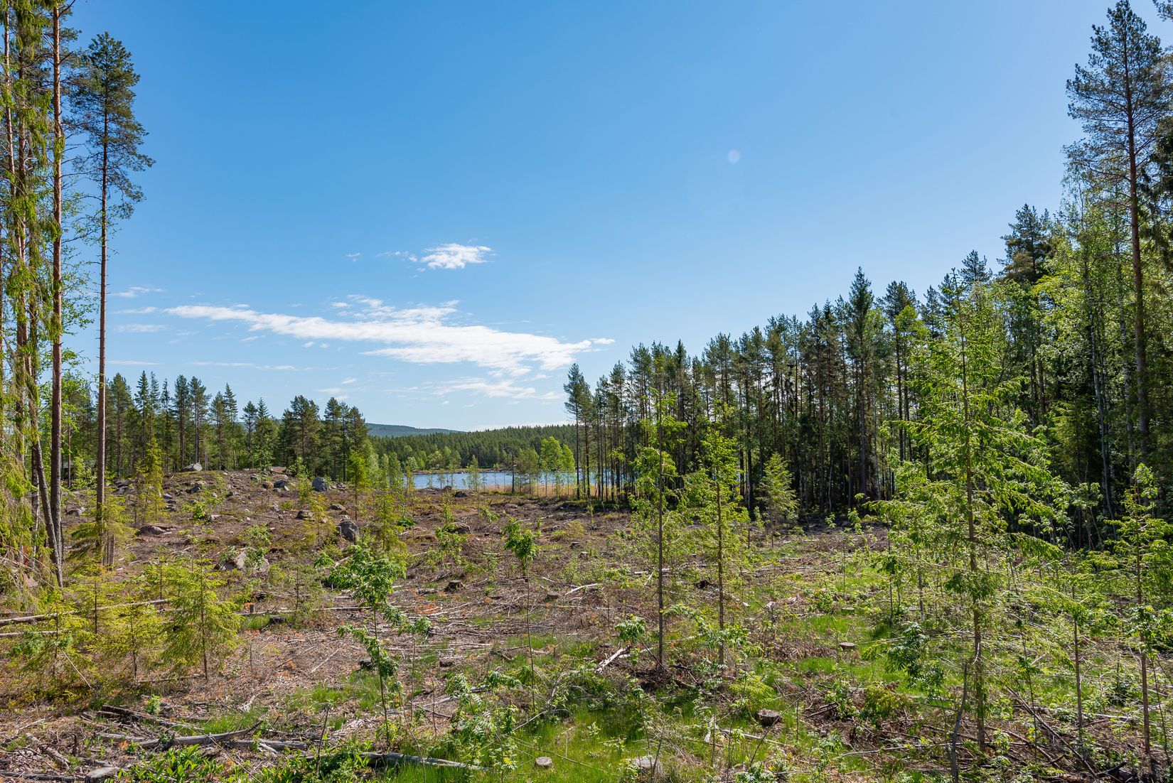 Tomt, Del av Övertänger 28:10, Balungstrand, Falun