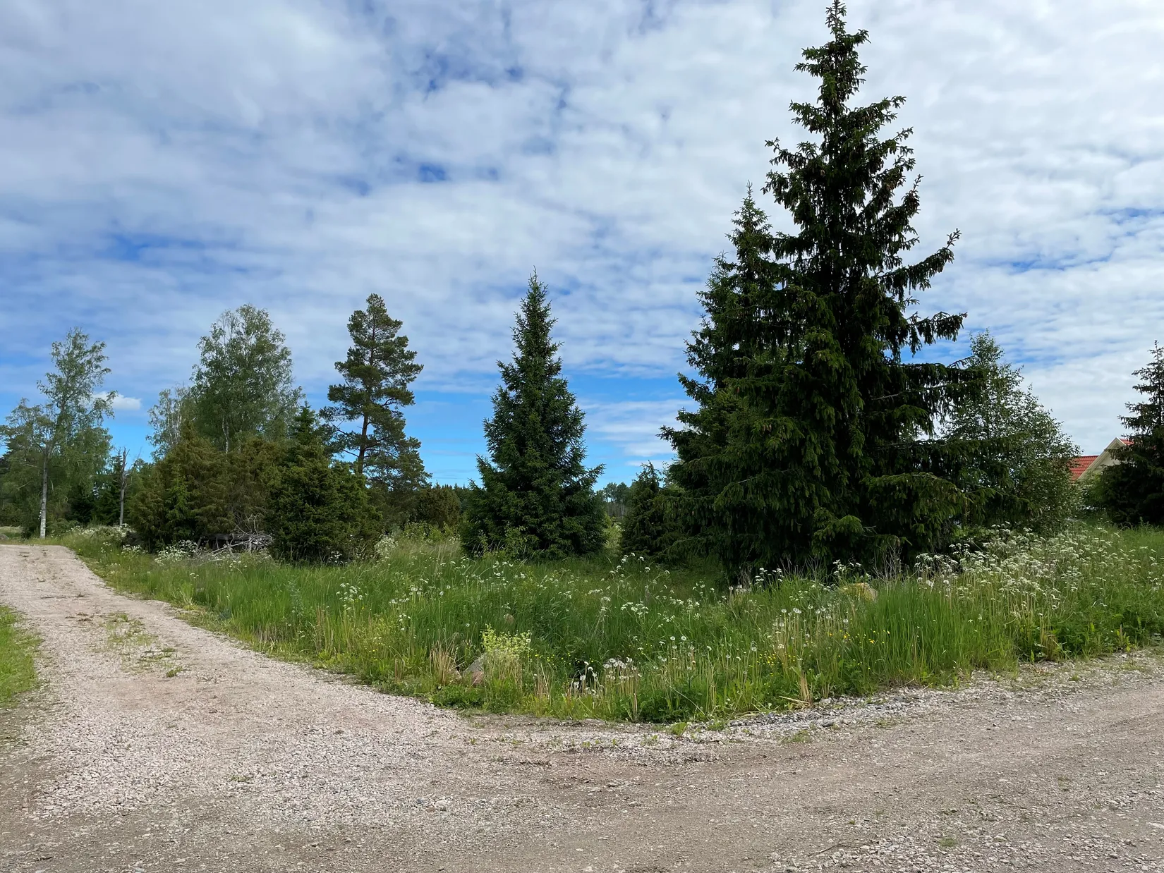 Tomt, Katrineberg 54, Börje, Uppsala