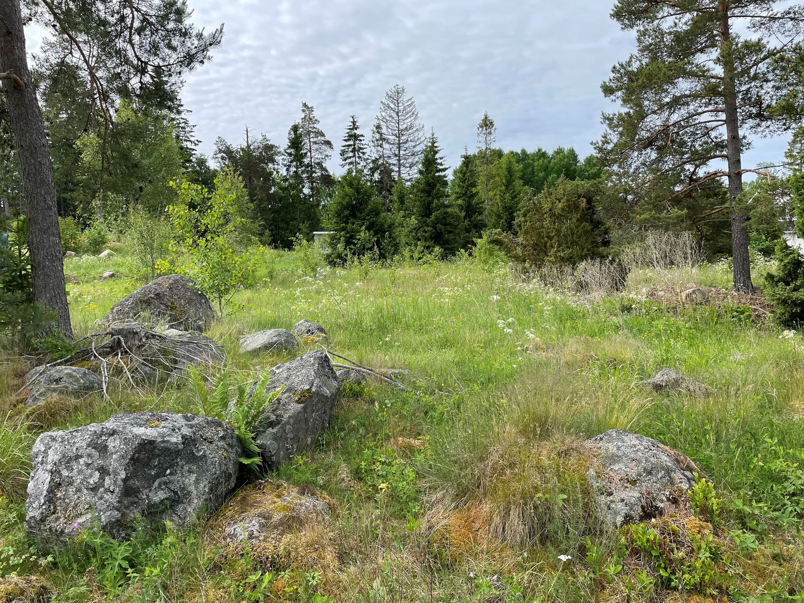 Tomt, Katrineberg 54, Börje, Uppsala