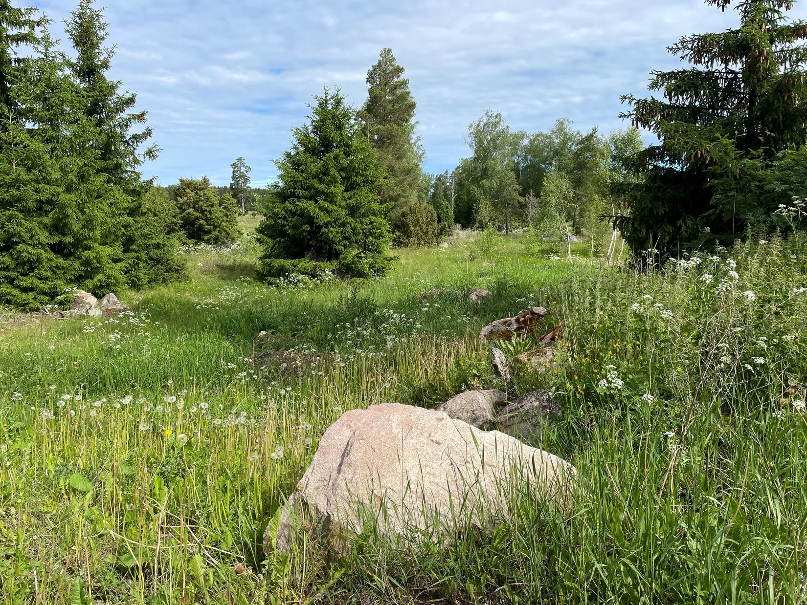 Tomt, Katrineberg 54, Börje, Uppsala
