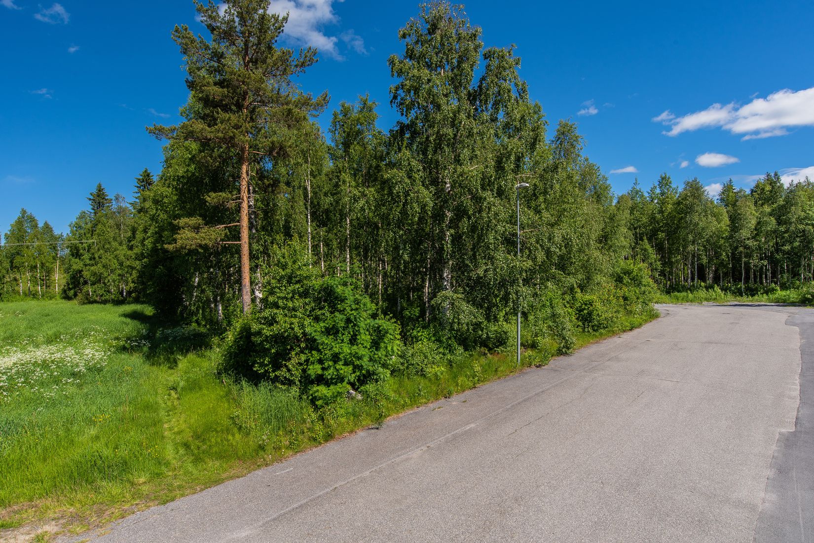 Tomt, Smedvägen, Bjurholm