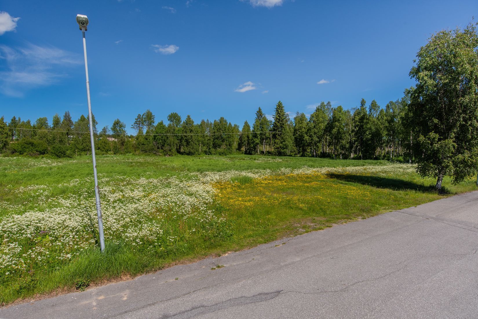 Tomt, Smedvägen, Bjurholm