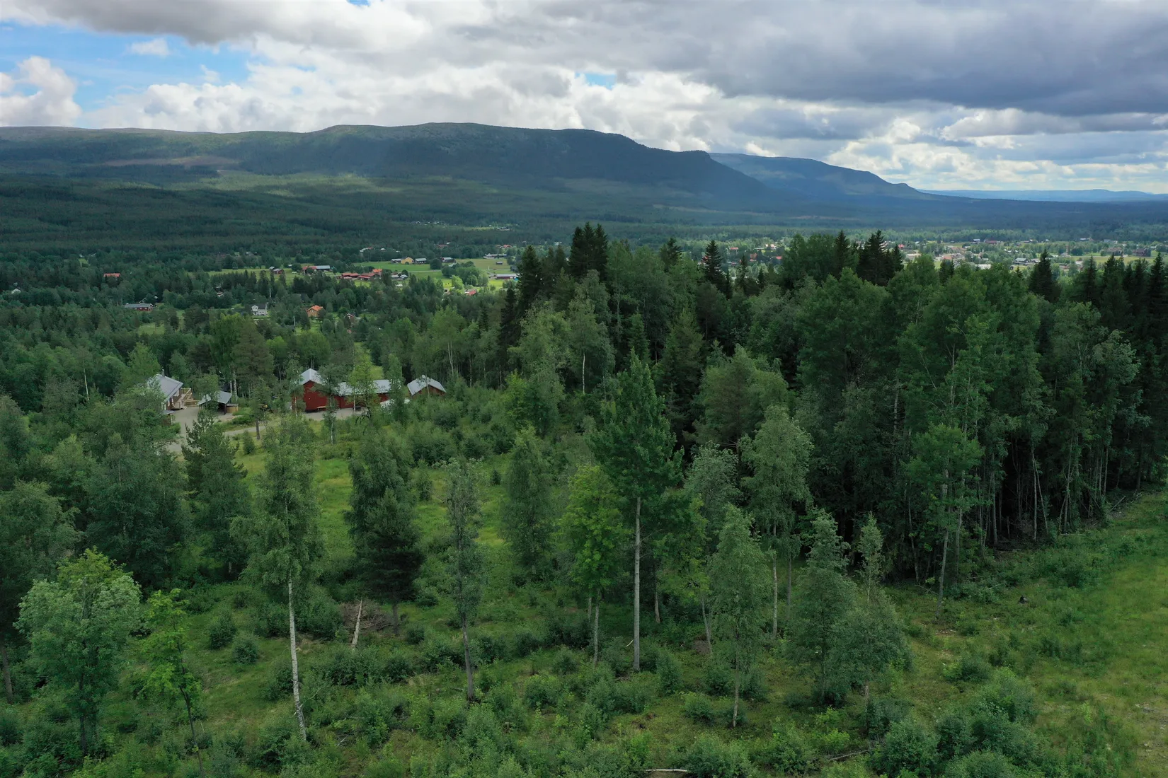 Tomt, Högåsvägen 8, Härjedalen